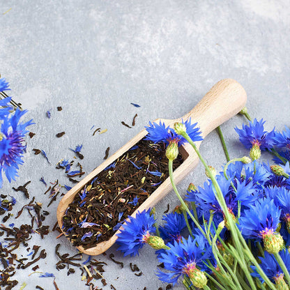Cornflower Seed Mixed